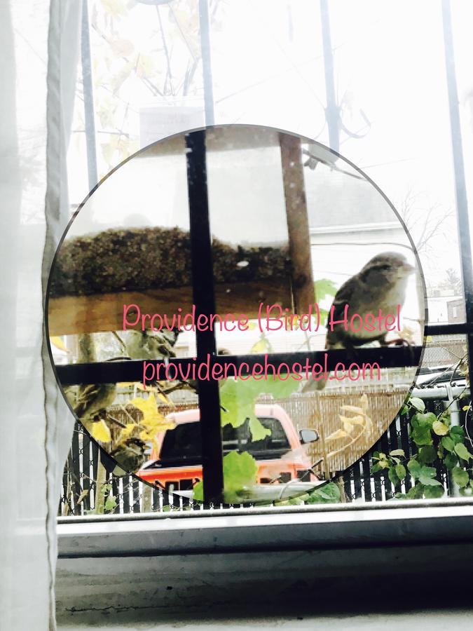 Providence Hostel & Guest House Esterno foto
